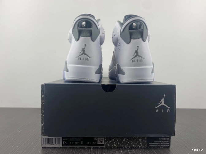 Cheap TB CT8529-100 Jordan 6 Cool Grey Air 0825